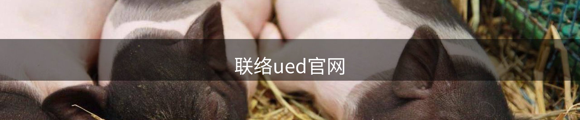 内页banner